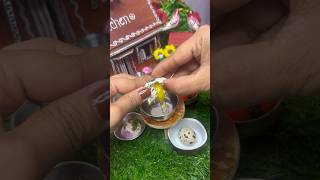 Miniature egg recipe shortvideo miniature minivlog shortsfeed shorts short eggrecipe