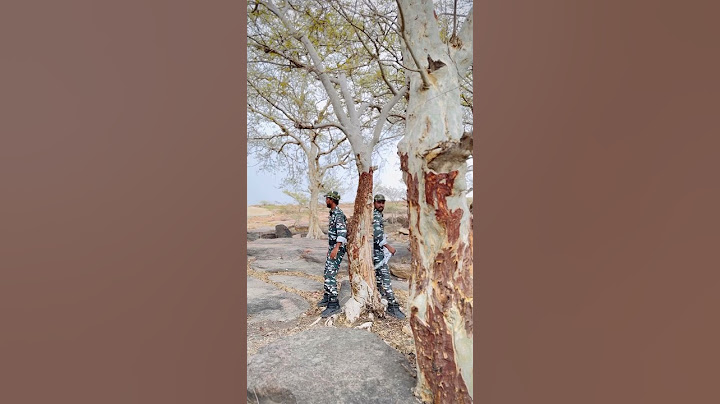 डुब्लीकेट फ़ोज़ी आये बॉर्डर पर 🫡🇮🇳 #indianarmy #army #indianarmy #viral #armylover #salute