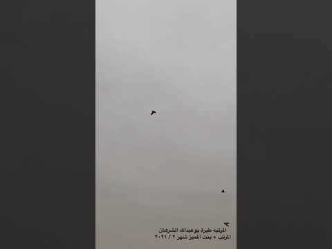 المرتبه طيرة ابو عبدالله الشرهان