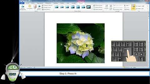 Chapter 3 - Part 4 -  Cropping a Picture and Adding Styles to a Picture  | Class 5 Computer