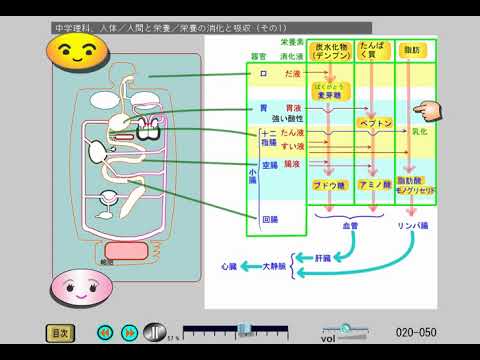 印刷可能 中学理科消化 壁紙引用画像hd