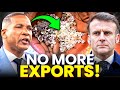 IS Traore Behind Botswana S SHOCKING Diamond Export Ban IS Traore Behind Botswana S SHOCKING Diamond Export Ban