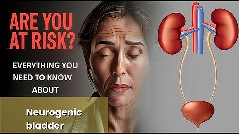 Neurogenic bladder Explained Causes, Symptoms and Treatment, All Insights