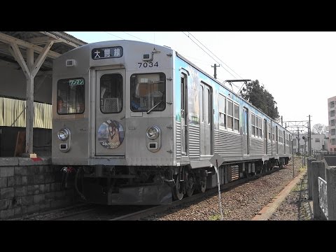 弘南鉄道 大鰐線 ふらいんぐうぃっちラッピングと桜満開弘前城 Konan Railways and Cherry blossoms