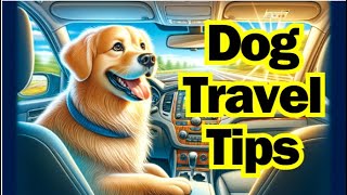 Dog Travel Tips