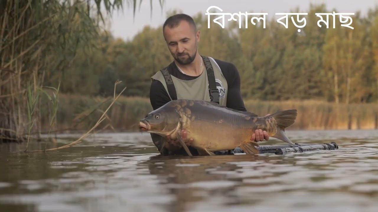 বিশাল বড় মাছ 🫢 