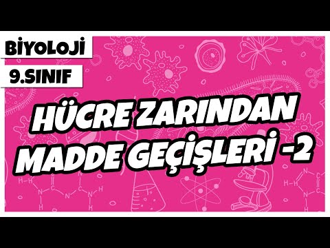 9. Sınıf Biyoloji - Hücre Zarından Madde Geçişleri -2