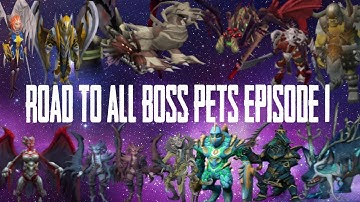 RS3 Road to all Boss Pets - Episode 1 (Camping Helwyr)