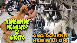 1,000 PESOS MO MARAMI KA NG MABIBILING PETS DITO || TIANGIAN YEAR 2022 || LATAGAN NG MGA PETS