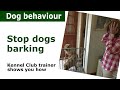 How to stop a dog from barking | dog bark control advice How to stop a dog from barking | dog bark control advice