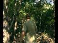 Steve Irwin - Most Dangerous Encounters (Part 9)