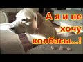 Штрафное очко для Мисси