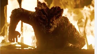 Last Of Us Stages Of Zombies