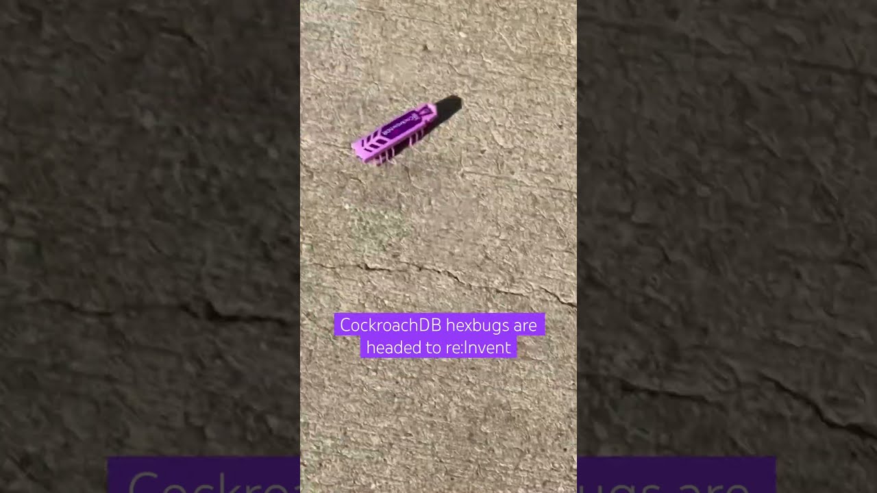 CockroachDB Hexbugs At AWS Re Invent
