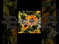 Como eu imagino a vibe de quem tem o linn como fav: #mundotorajo #torajoverso #vibe #linn