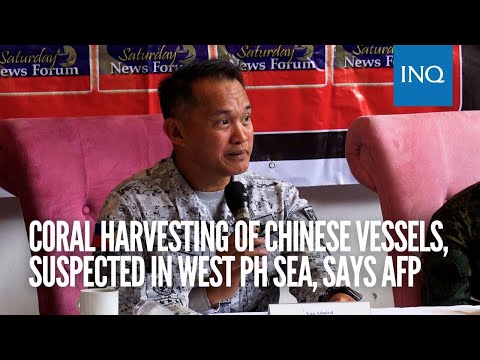 Coral harvesting of Chinese vessels, suspected in West PH Sea, says AFP