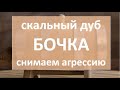 Бочка. скальный дуб. снятие первой агрессии|самогон|самогоноварение для начинающих