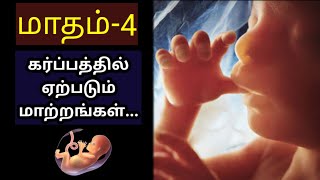 Pregnancy 4th month baby development tamil | Pregnancy 4th month symptoms tamil |