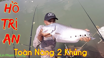 Câu Cá Thác Lác Cườm/Nàng 2/ Tại Hồ Thủy Điện Trị An