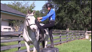 How to mount a horse  3 common mistakes