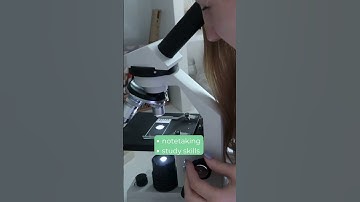 CURRICULUM REVIEW OF MIDDLE SCHOOL GENERAL SCIENCE