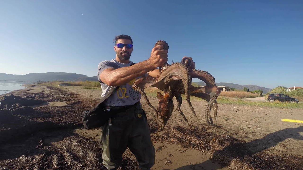 Έπιασα χταπόδι με τα ΧΕΡΙΑ Fishing Octopus with HANDS, Rod And Net