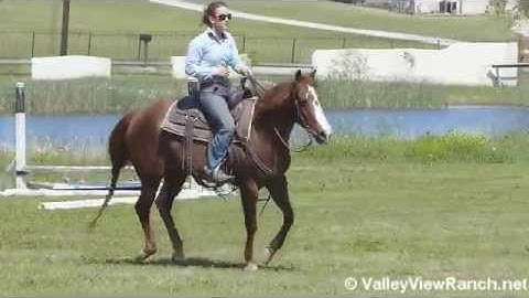 Tarwena Becky  ***For info, price, etc., go to our website*** Valley View Ranch