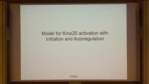 Dr. Jürgen Reingruber | Modeling and stochastic analysis of autoregulation of the Krox20...