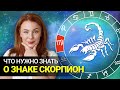 Что скрывают СКОРПИОНЫ: вся правда о самом сексуальном Знаке Зодиака