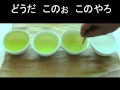 茶柱を立ててみる、トリプル茶柱も立ててみる