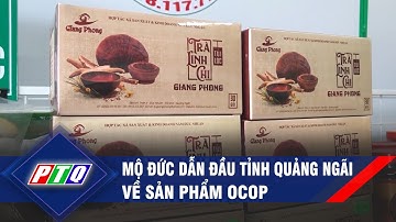 Mộ Đức dẫn đầu tỉnh Quảng Ngãi về sản phẩm OCOP  | PTQ