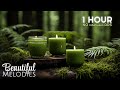 Spa massage music relaxation peaceful soothing relaxing meditation music