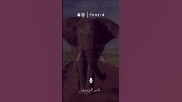 سوره الفيل     #لايك #اكسبلور