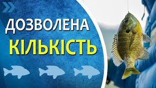 Дозволена для вилову кількість риби, раків, креветок, мідій та рапанів