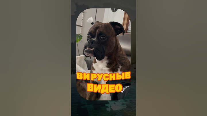 ВИРУСНЫЕ ВИДЕО / Кот поджиратель 😹