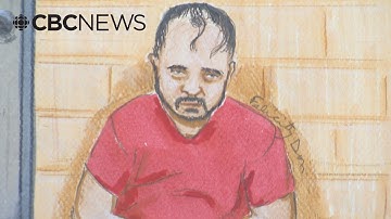 Alleged B.C. plane hijacker makes brief court appearance