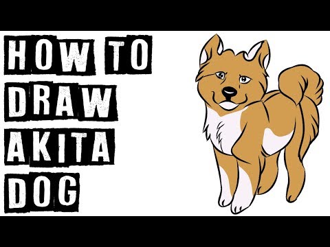 Comment dessiner chien Akita