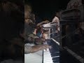 احلي صوله العازف نوري الجنا2019 احلي صوله العازف نوري الجنا2019