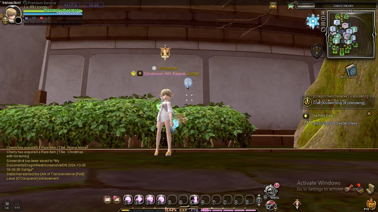 Dragon Nest Orion Spam, Newbie guide