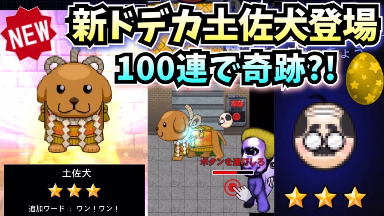 ケビン様　おまとめ　10点 ケビン様 おまとめ 10点 ケビン様 おまとめ 10点 ケビン様 おまとめ