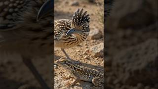 Baby रोडरनर का पहला शिकार! 🐣🦎 | पहली कोशिश में क्या हुआ?