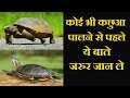 कोई भी कछुआ पालने से पहले ये बाते जरुर जान ले || Turtle || Tortoise || Dr Nagender Yadav