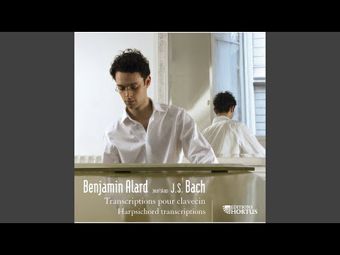 Sonate in A Minor, BWV 965: III. Adagio - Presto (After Johann Adam Reincken's Sonata No. 1...