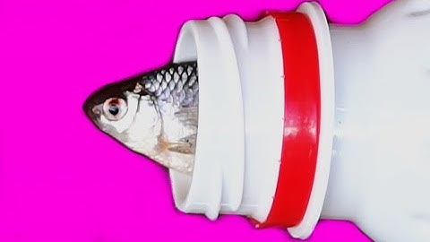 3 Awesome Ideas With Plastic Bottle