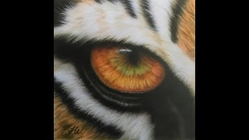 Eye Of The Tiger