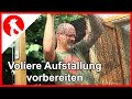 068 Hühner Voliere (2) - Unterstand mit Vogelgrippeschutz -  Jensman and the Huhns