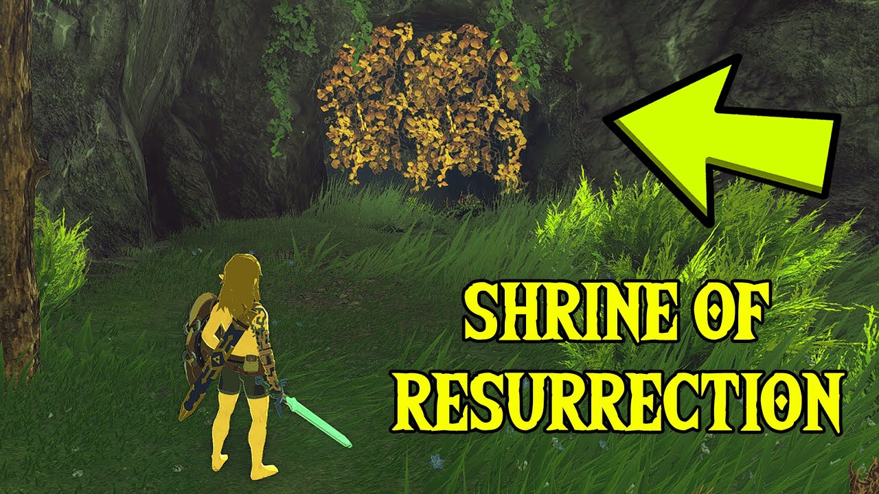 What If You Visit the Shrine of Resurrection in Zelda