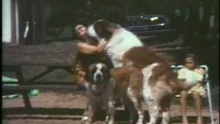 Lake & Beach at Sunset - 8mm Home Movie
