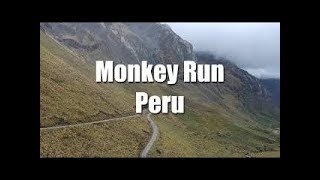 Monkey Run Peru April 2018 - Full Documentary