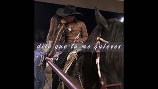 Dile que tu me quieres- Ozuna (slowed)